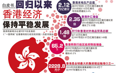 澳門2024年精準(zhǔn)資料大全,極速解答闡釋落實(shí)說明_1440p 32.556 