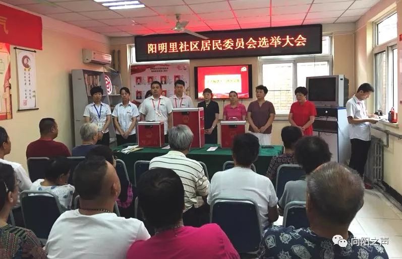 向陽社區(qū)居委會領(lǐng)導(dǎo)團隊全新亮相及未來展望