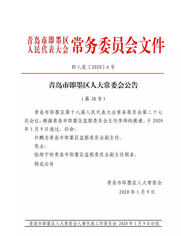 新青區(qū)人民政府辦公室人事任命，構(gòu)建高效團隊，促進區(qū)域發(fā)展新篇章