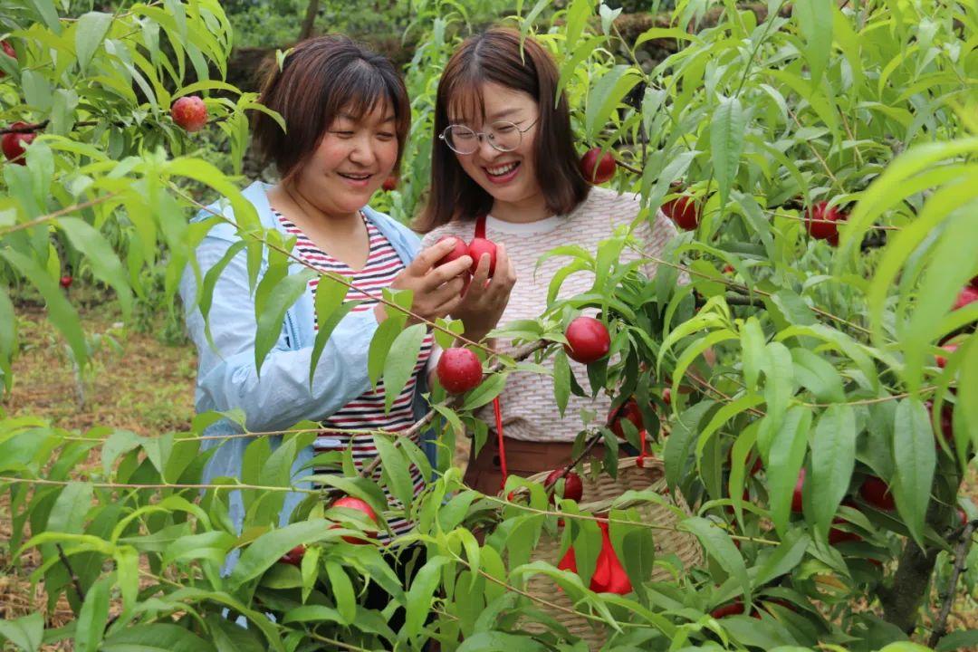 宋家掌村委會發(fā)展規(guī)劃概覽
