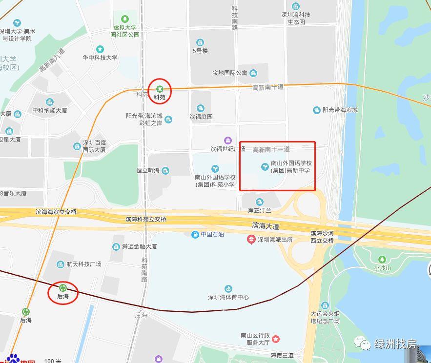 南山區(qū)體育館領導團隊，引領變革，鑄就輝煌