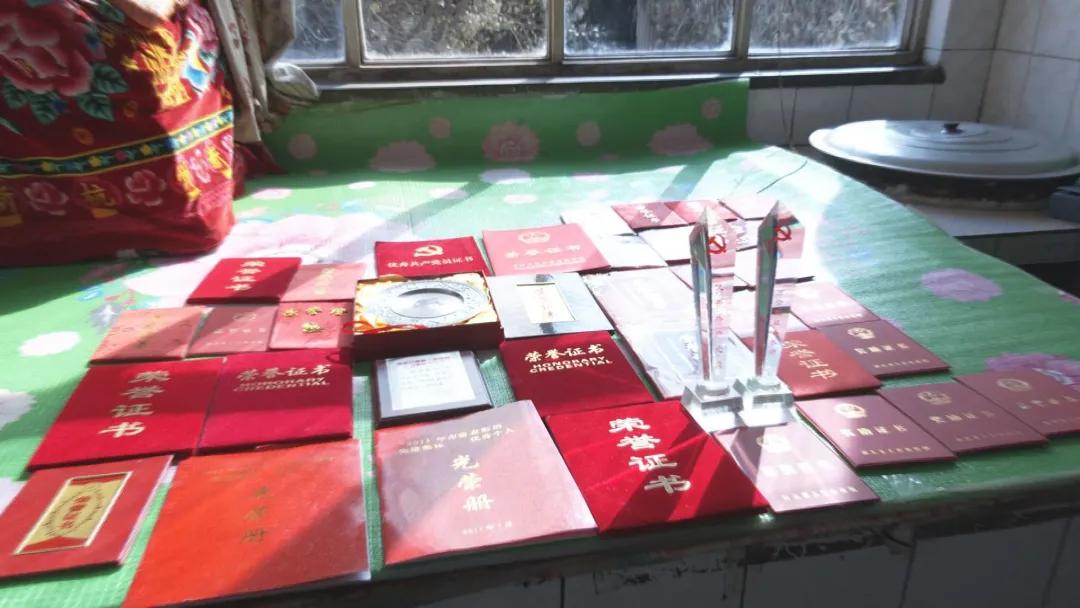 膳房堡鄉(xiāng)最新項(xiàng)目，引領(lǐng)鄉(xiāng)村嶄新發(fā)展的強(qiáng)大動(dòng)力