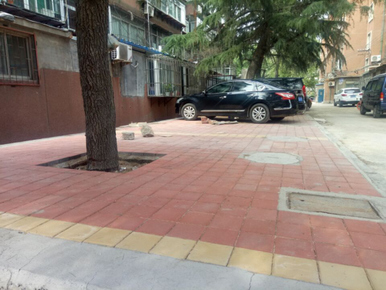 堤口路街道最新新聞綜述，動態(tài)更新與社區(qū)發(fā)展概覽