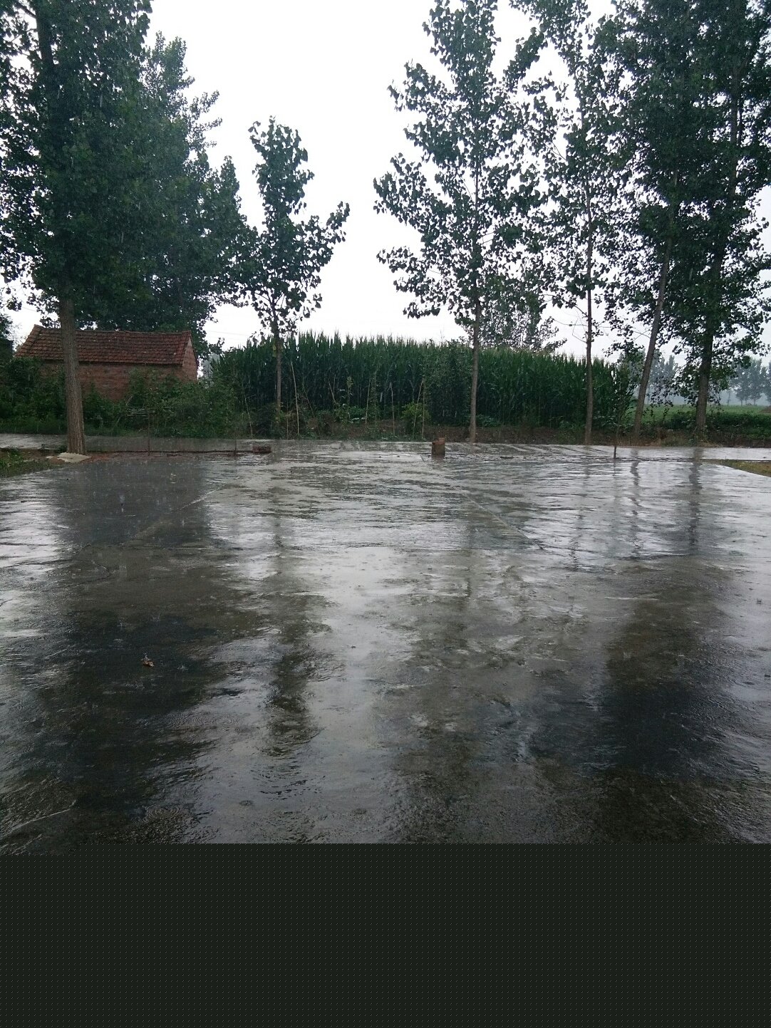 馬屯鎮(zhèn)天氣預(yù)報更新通知
