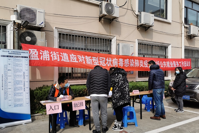 盈浦街道最新招聘信息全面解析