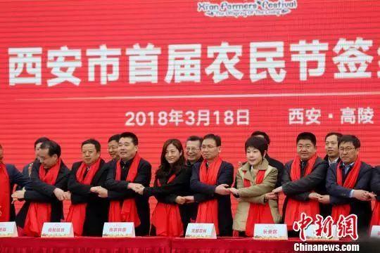 唐村鎮(zhèn)新項目，引領(lǐng)未來發(fā)展的新動力源泉